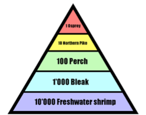 There are typically two ways to earn money. Example Scenarios Imagine a classroom with a student, a